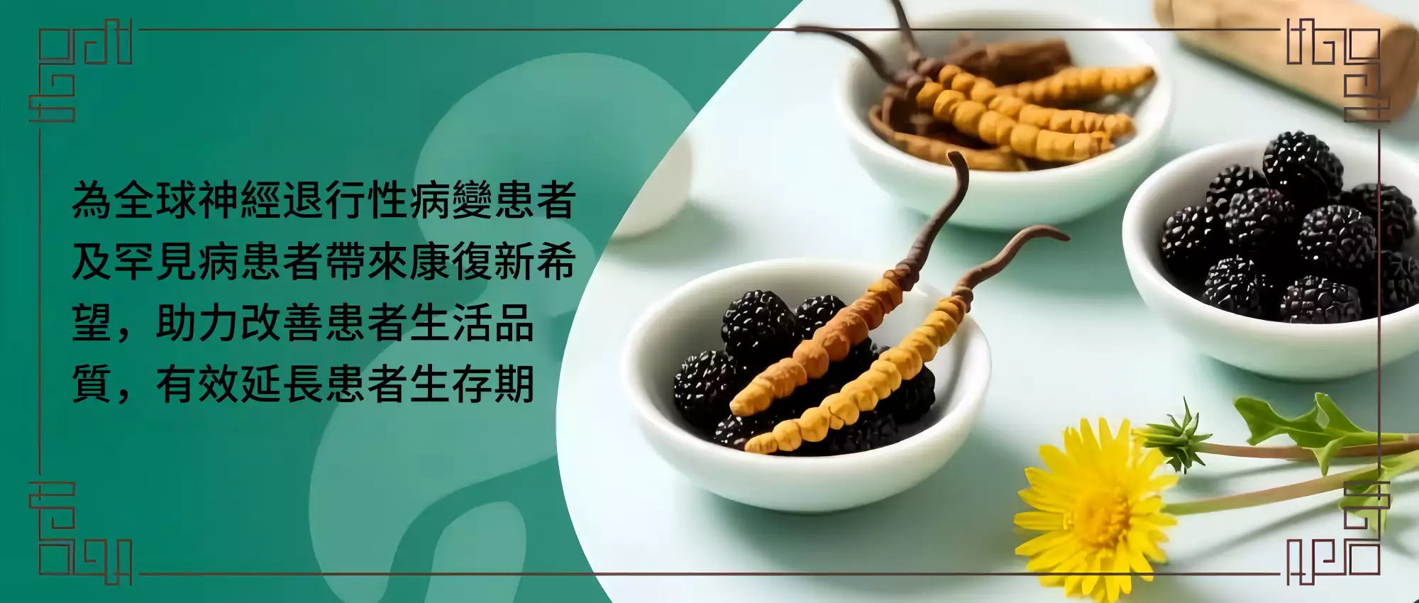 營養修復神經元與漸凍症研究學會（香港）